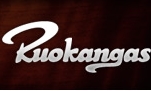 Ruokangas Custom Guitars